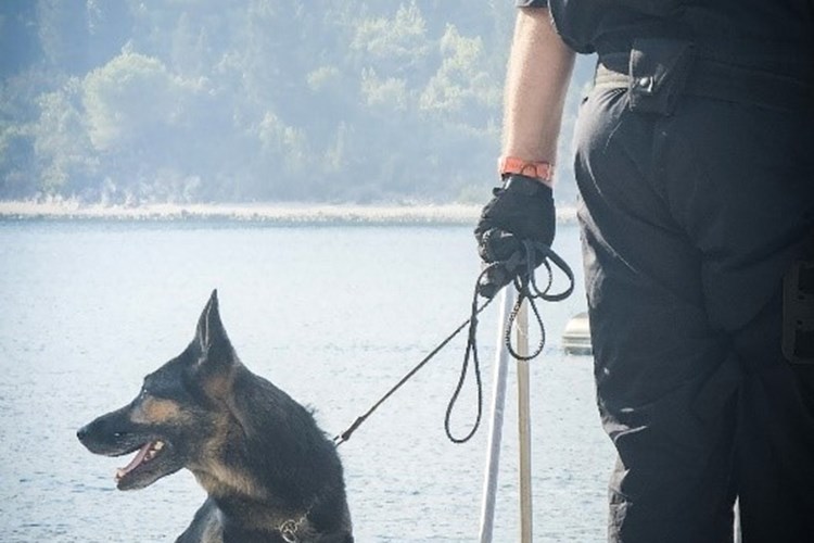 Slika /slike/Slike za objave za web/Prijam u državnu službu.jpg